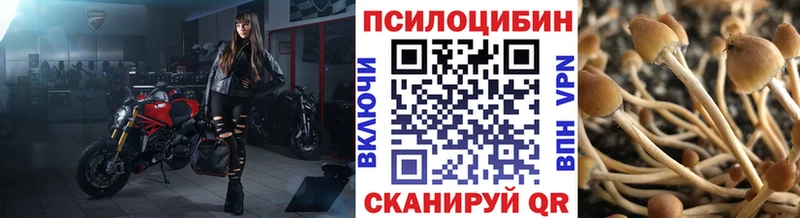 Псилоцибиновые грибы мухоморы  Купить  Лабытнанги 
